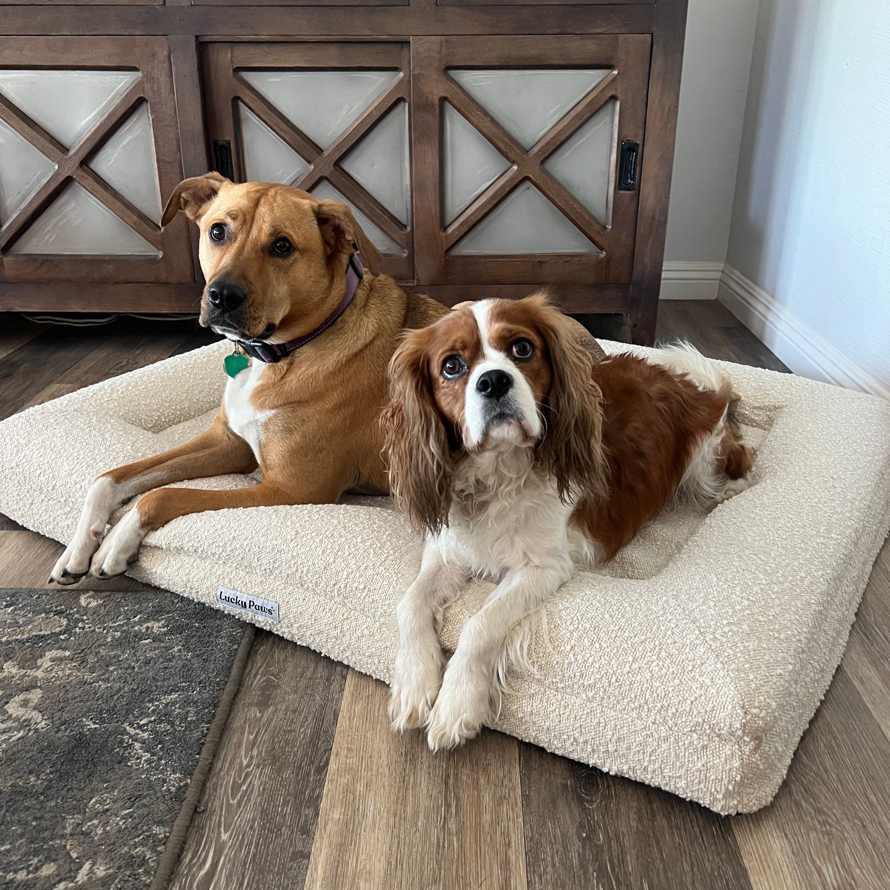 Bouclé Orthopedic Memory Foam Dog Bed Premium Bouclé Fabric 168澳洲幸运10正规体彩官方网站 Lucky Paws